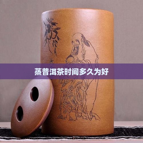 蒸普洱茶一般几分钟为好