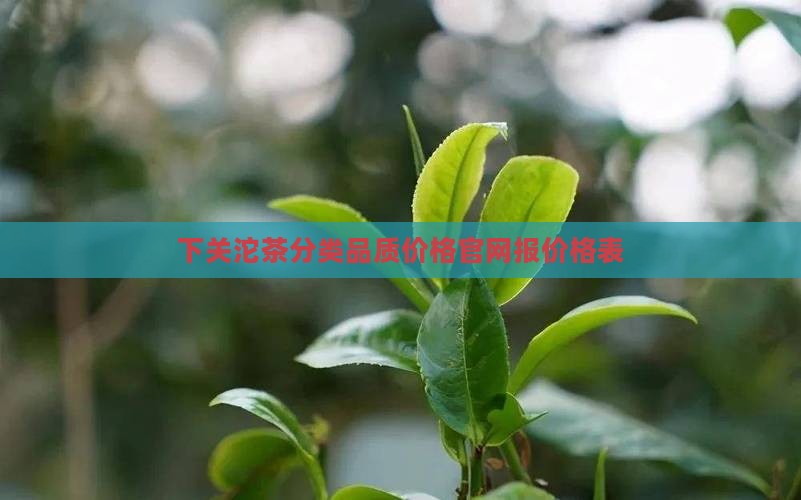 下关沱茶分类品质价格