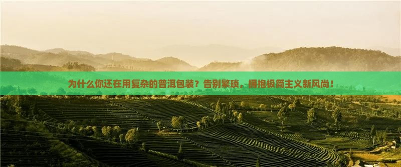 最简单的普洱包装