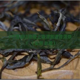森源茗道普洱茶