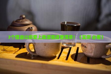 森源茗道普洱茶