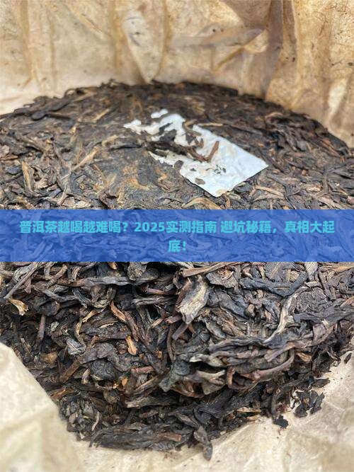 普洱茶怎么喝都不好喝怎么回事