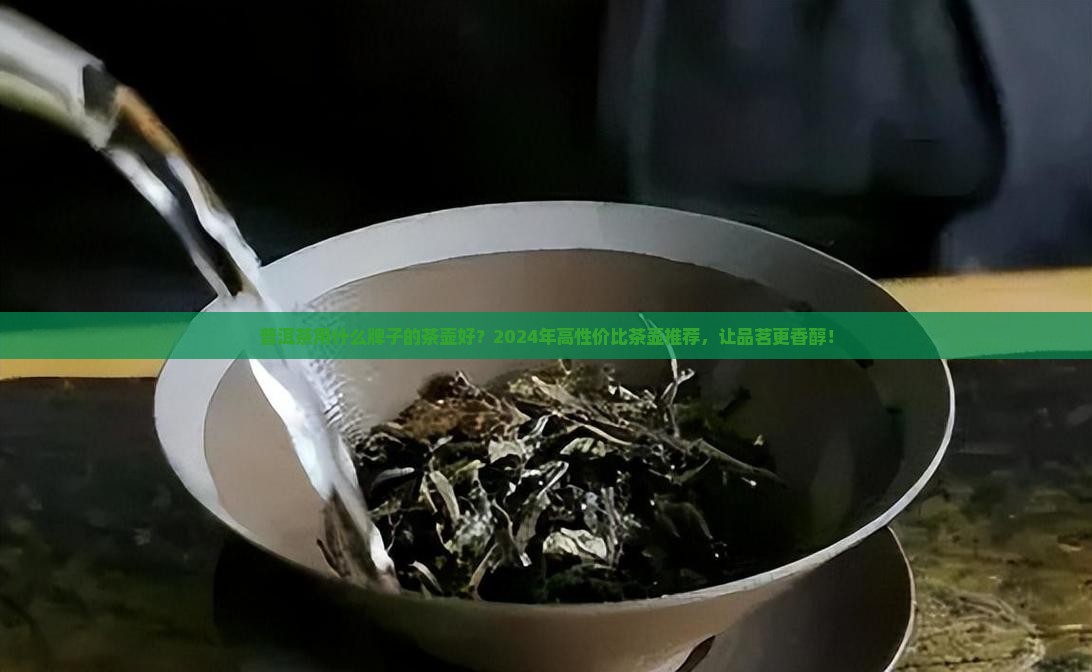 普洱茶用什么牌子的茶壶好