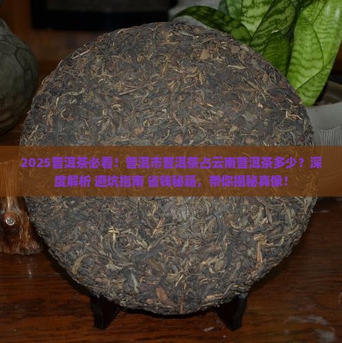 普洱市普洱茶占云南普洱茶