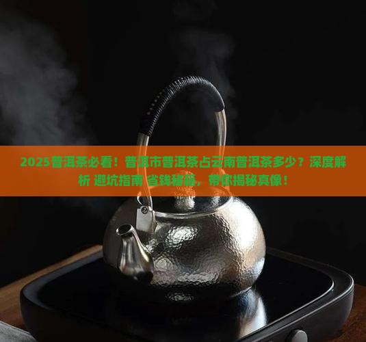 普洱市普洱茶占云南普洱茶