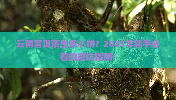 云南普洱茶生茶小饼