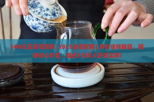 500元区间普洱茶
