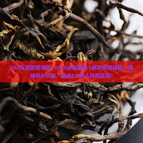 500元区间普洱茶