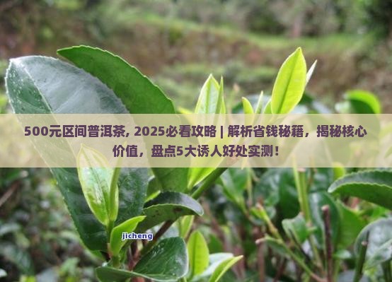 500元区间普洱茶
