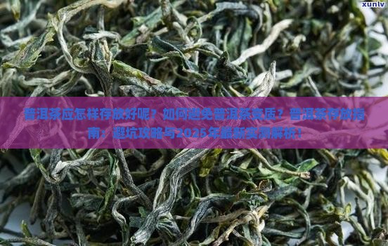 普洱茶应怎样存放好呢