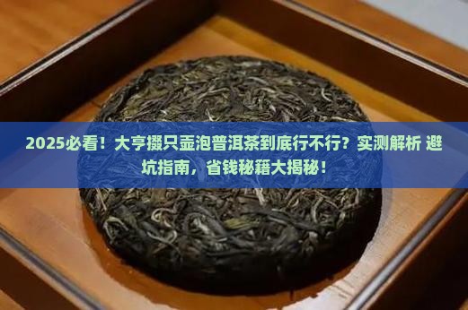 大亨掇只壶适合泡普洱茶吗