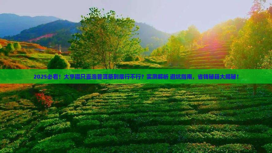 大亨掇只壶适合泡普洱茶吗