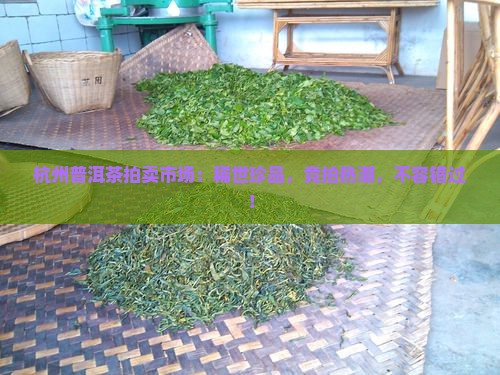 杭州普洱茶拍卖市场