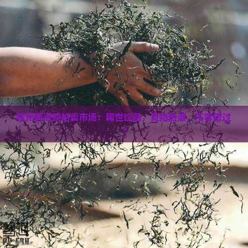 杭州普洱茶拍卖市场
