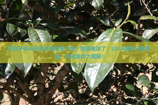 碎银子茶化石的价格是多少钱