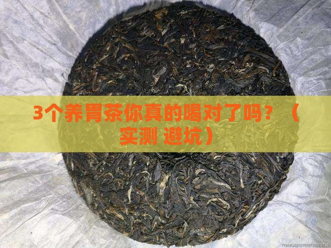 养胃的茶有哪些
