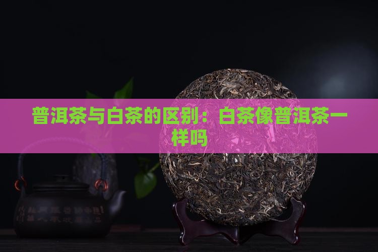 白茶像普洱茶一样吗为什么
