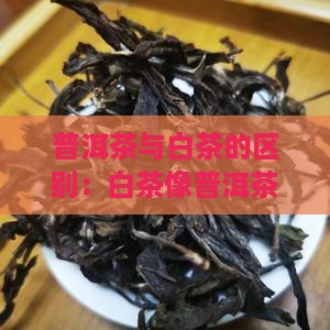 白茶像普洱茶一样吗为什么