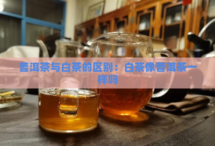 白茶像普洱茶一样吗为什么