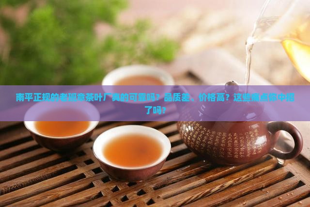南平正规的老班章茶叶厂
