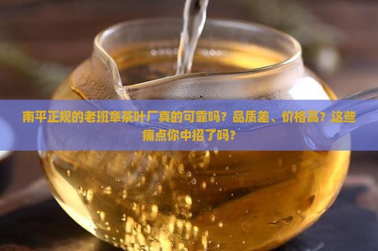 南平正规的老班章茶叶厂