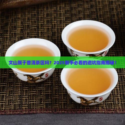 文山属于普洱茶区吗