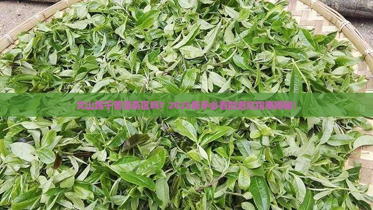 文山属于普洱茶区吗