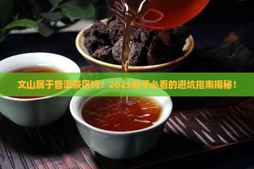 文山属于普洱茶区吗