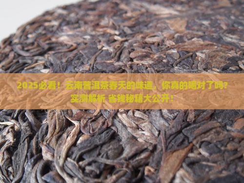 云南普洱茶春天的味道