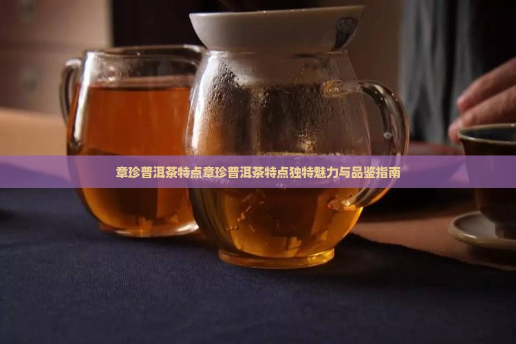 章珍普洱茶特点