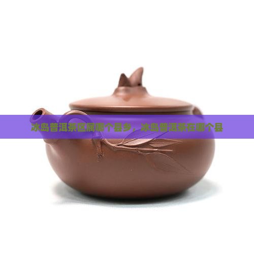 冰岛普洱茶区属哪个县乡