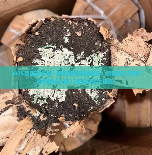 普洱茶到底哪儿好喝呢