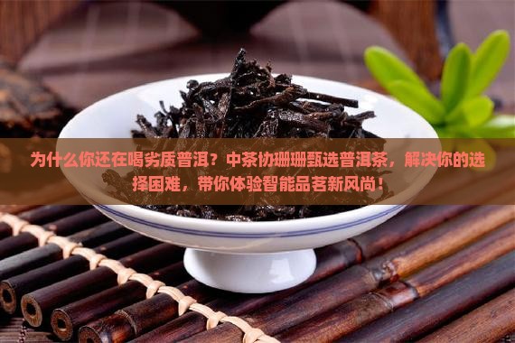中茶协珊珊甄选普洱茶