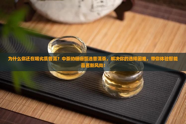 中茶协珊珊甄选普洱茶