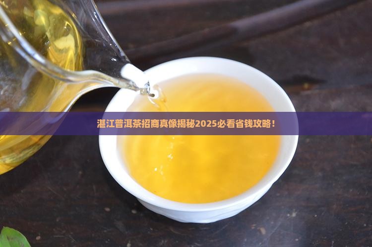 湛江普洱茶招商条件