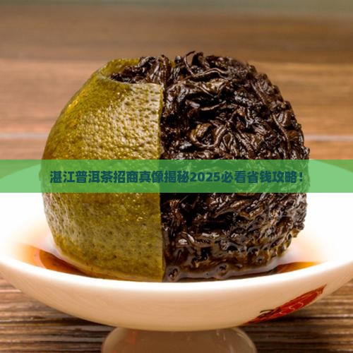 湛江普洱茶招商条件