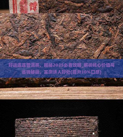 好运连连普洱茶