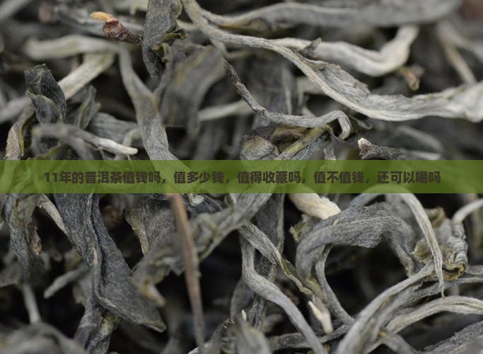 11年的普洱茶值