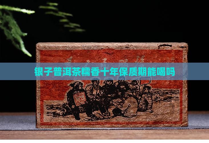 碎银子普洱茶糯香十年能喝吗
