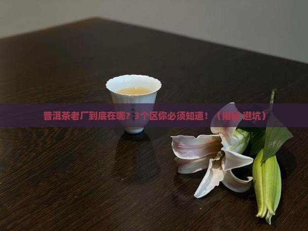 普洱茶老厂是在哪个区