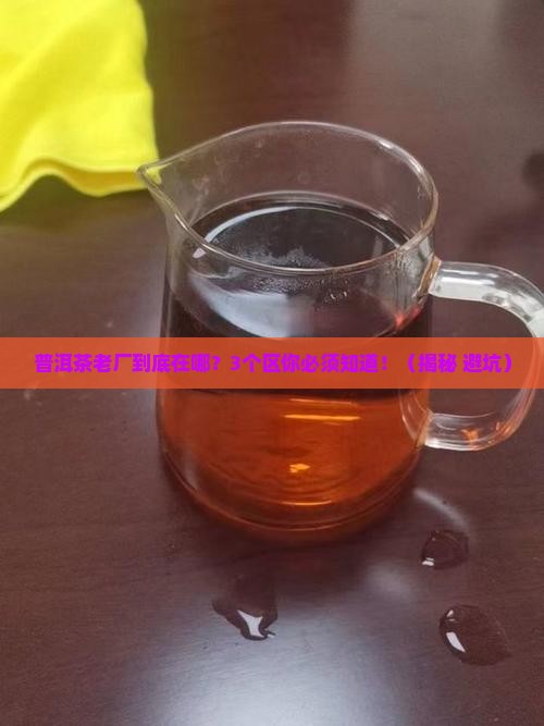 普洱茶老厂是在哪个区