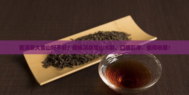 普洱茶大雪山好不好