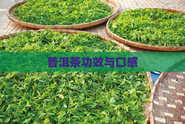 普洱茶功效与口感
