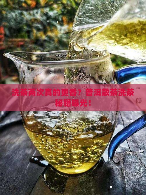 普洱茶散茶要洗茶2次比较好