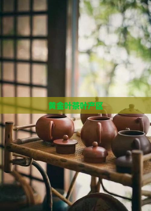 黄金叶茶叶产区