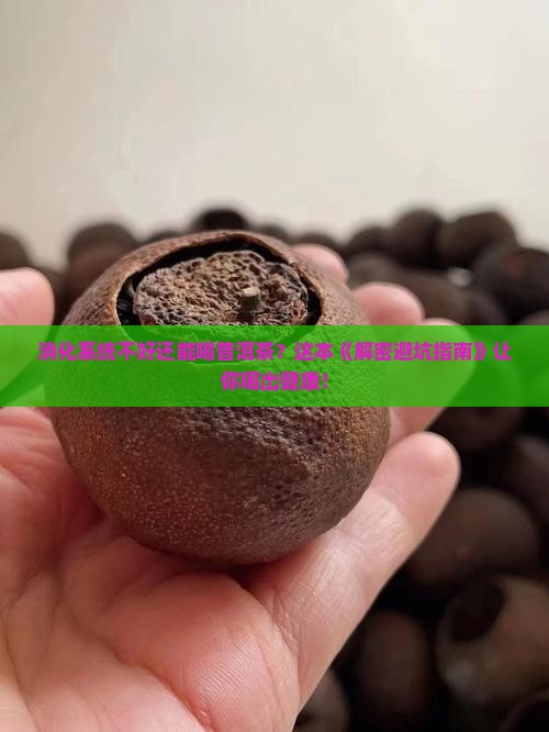 消化系统不好普洱茶