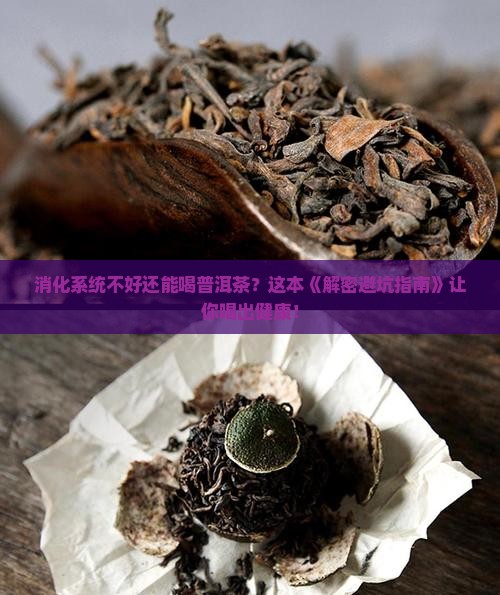 消化系统不好普洱茶