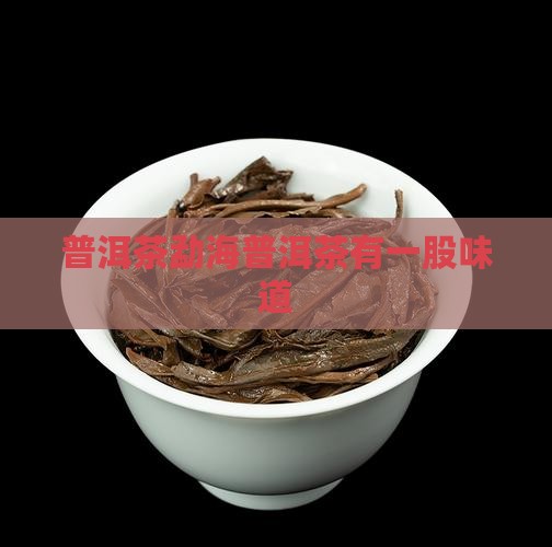 勐海普洱茶有一股味道