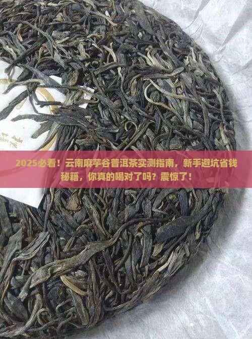 云南麻芋谷普洱茶
