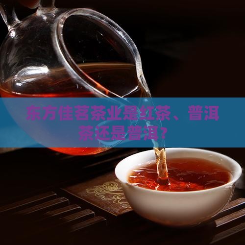 东方佳茗茶业是红茶吗